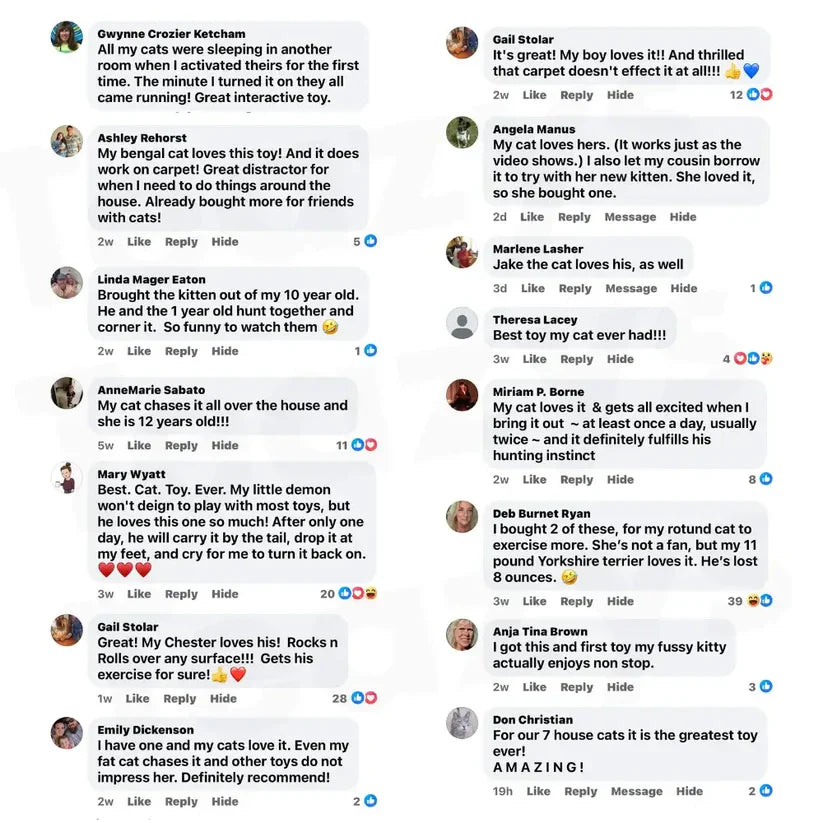 Freeheartfelt® SPEEDY TAIL 2.0