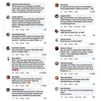 Freeheartfelt® SPEEDY TAIL 2.0